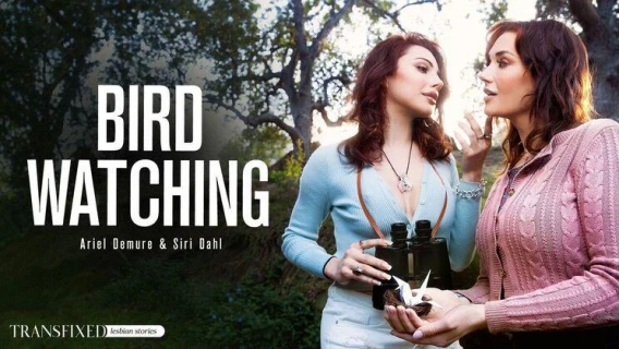 ⁣Transfixed | Bird Watching (Siri Dahl, Ariel Demure) 