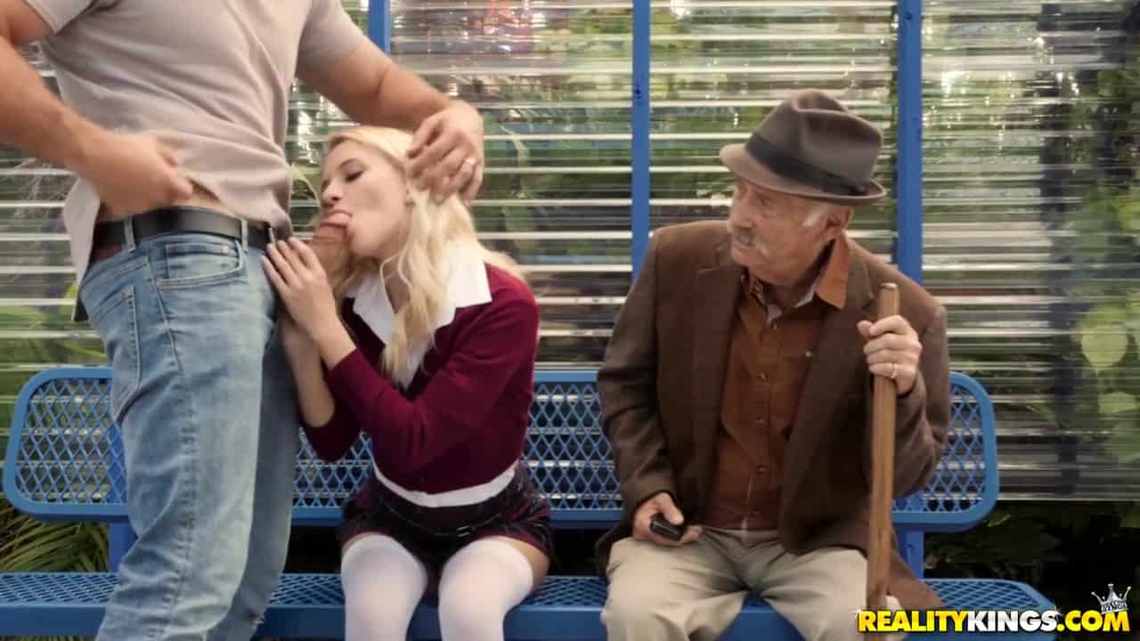 Bus Bench Biddie  