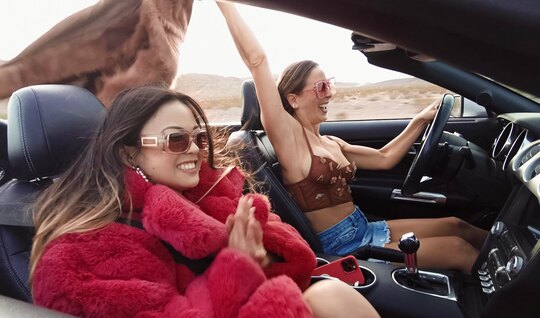 Cheerful lesbians picked up a guy for bright FFM pleasure 