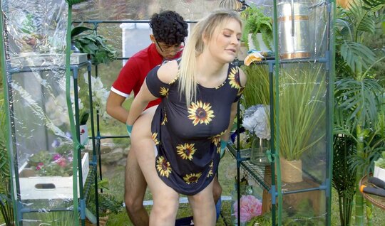 Assed mom got up doggy style to have sex outdoors 